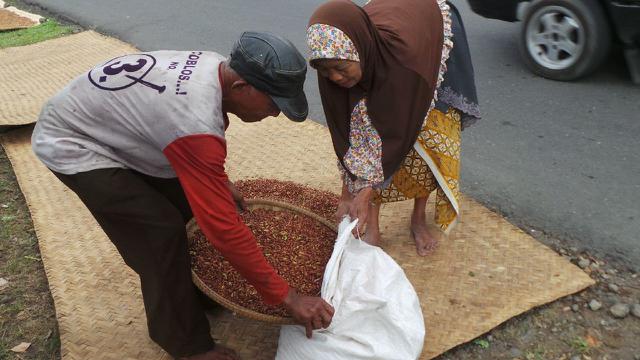 petani cengkih